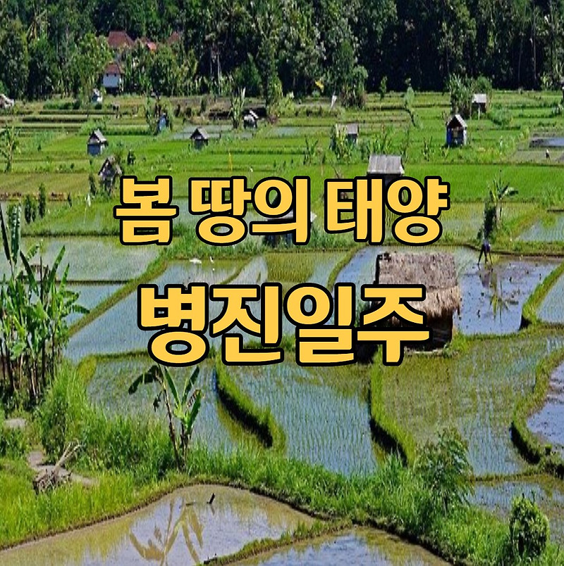 53. 봄 땅의 태양, 병진일주