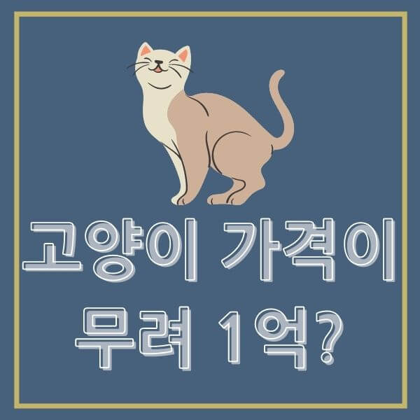 고양이 종류별 가격대와 가격 순위 TOP 10 :: 정보통