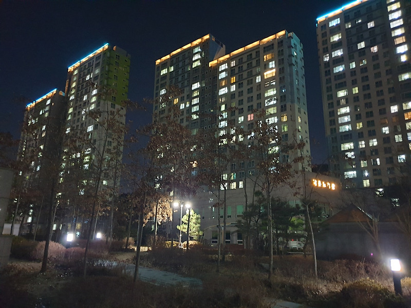 전국 대학교 순위 (2021)