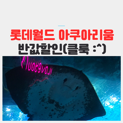 롯데월드 아쿠아리움 반값 할인 (f. 클룩 :^)