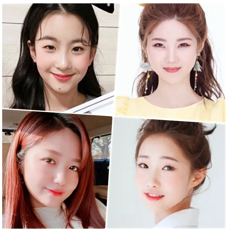 방송 & 연예 데일리 이슈 :: 오유진 배아현 정서주 정다경 프로필... 