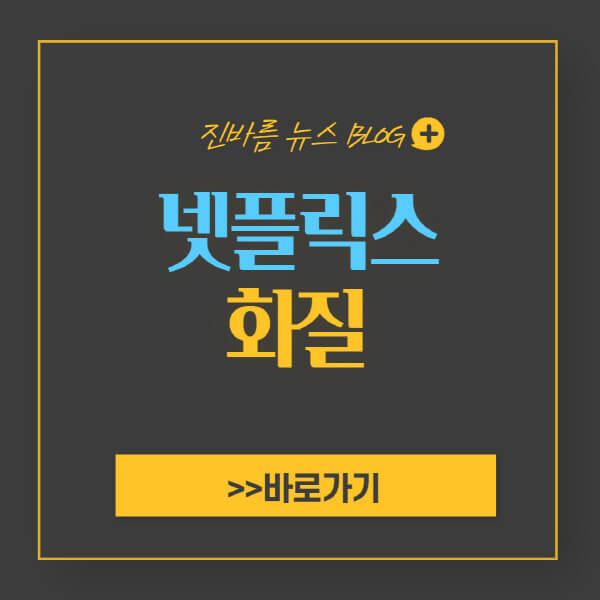 넷플릭스 화질 설정 높이기 저하 방법 및 단축키 2가지 - 진바름뉴스