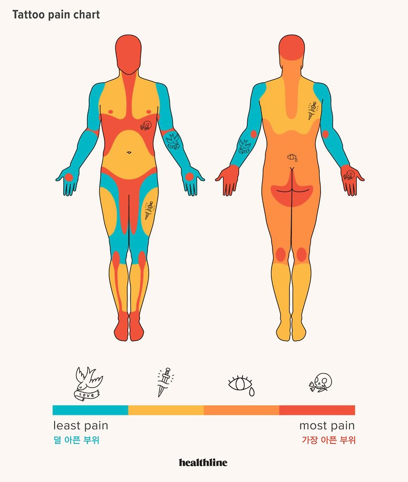 타투 아픈가요? 타투 했을때 제일 아픈곳 순위~~ Tattoo Pain Chart