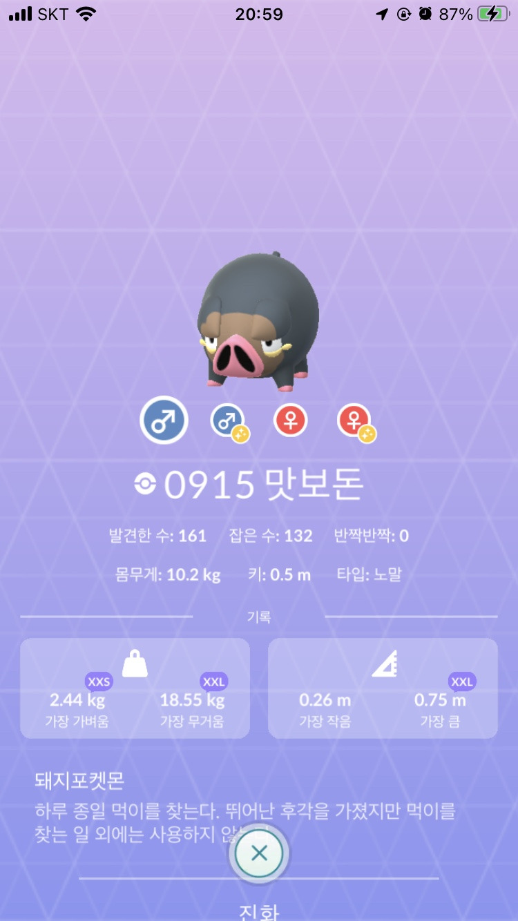 [포켓몬고 진화] 맛보돈 - 퍼퓨돈