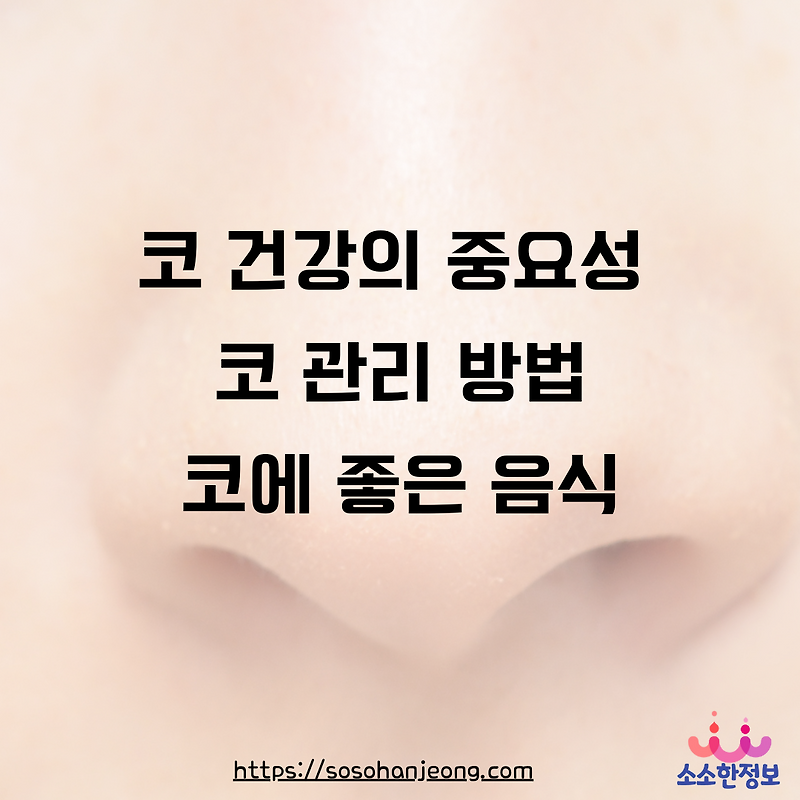 코 건강의 중요성, 코 관리 방법, 코에 좋은 음식