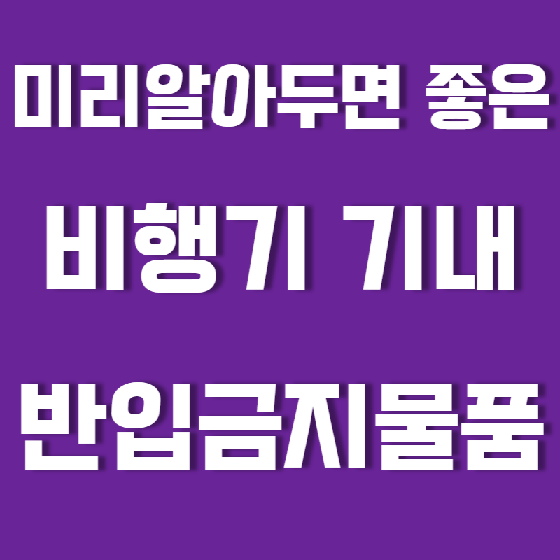 비행기 반입금지 물품 확인 및 기내 반입 불가 물품 조회 방법