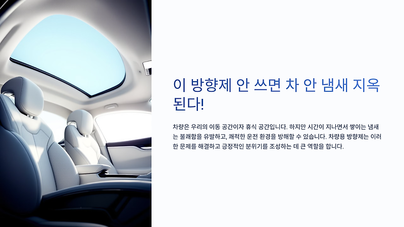 🔮 이 방향제 안 쓰면 차 안 냄새 지옥 된다!