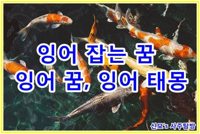 잉어 꿈, 잉어 태몽, 잉어 잡는 꿈 24가지