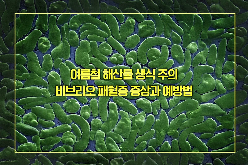 여름철 해산물 생식 주의, 비브리오 패혈증 증상과 예방법 총정리