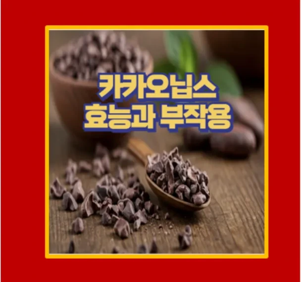 다이어트 슈퍼푸드 카카오닙스 알고 먹으면 두 배 효과 성분 효능 파헤치기