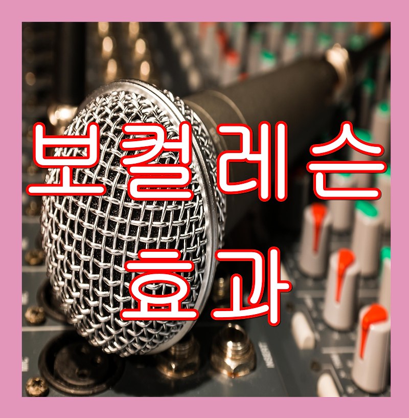보컬 레슨 효과가 얼마나있을까? :: 정보 공유