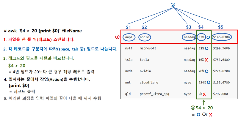 코딩트리