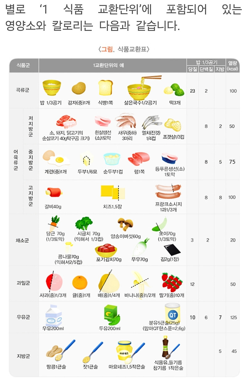 건강을 찾아 나의 하루 열량 계산하기