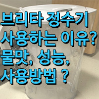 브리타 (BRITA) 정수기 성능 및 필터 교환 주기는?/브리타 완전 정복!!