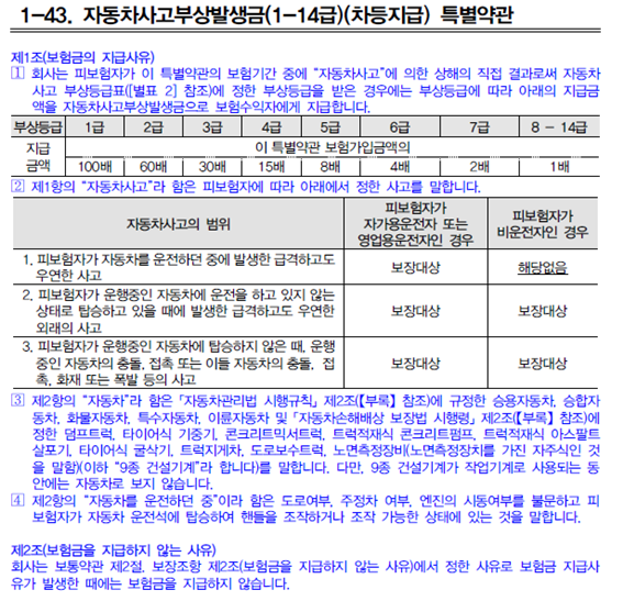 NH바른지구구데이드라이버보험!자동차사고부상치료비업셀링의마지막기회