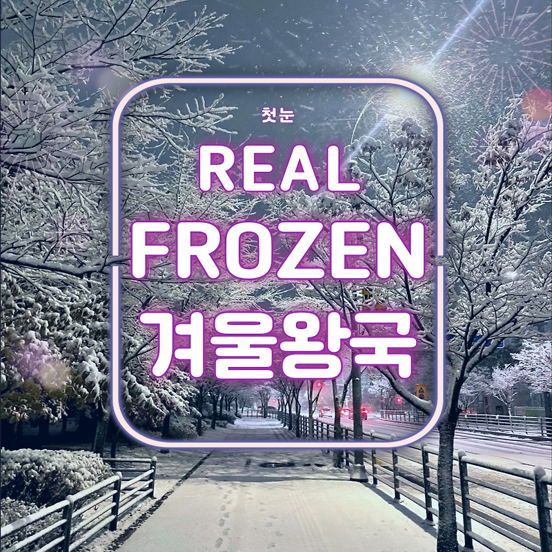 Real Frozen | 겨울왕국 | 반갑다 올해 첫 눈 | 첫눈 발자국