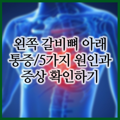 왼쪽 갈비뼈 아래 통증/5가지 원인과 증상 확인하기