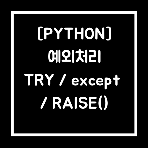 [Python] 파이썬 try except / raise 예외처리 개념이해