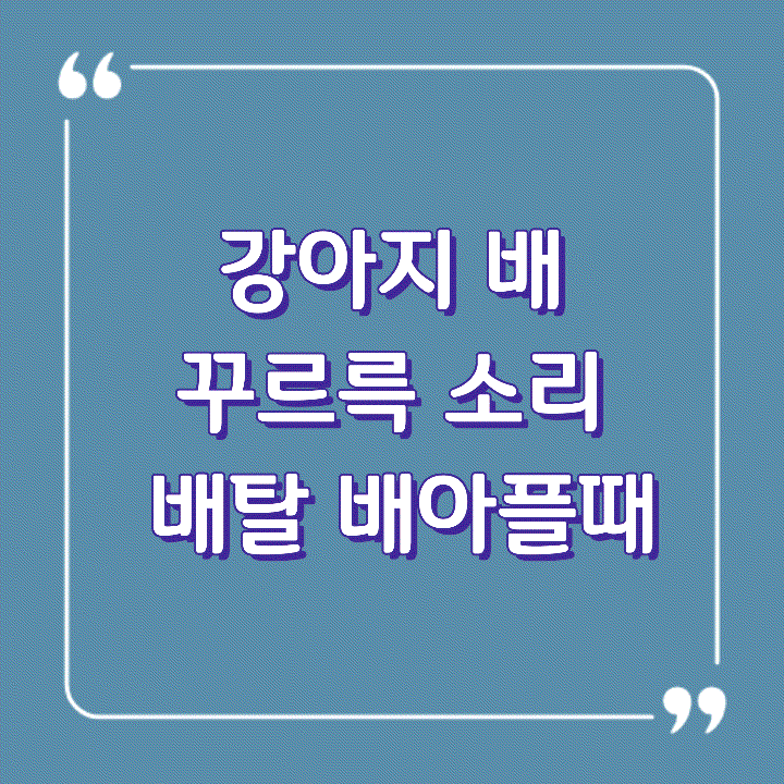 강아지 배 꾸르륵 소리 배탈 배아플때