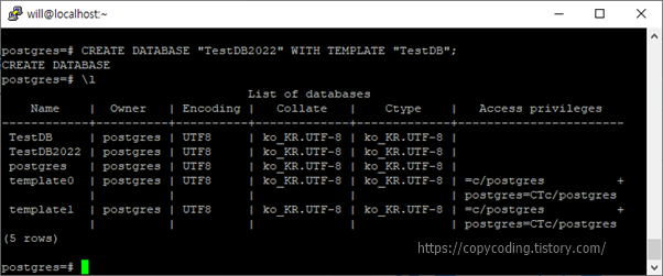 postgresql dump 말고 database copy clone duplicate  Copy Coding