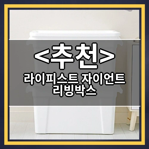 라이피스트 자이언트 리빙박스 추천