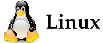 [Linux] 리눅스 파일, 폴더 권한 변경방법(chmod 사용법 & 예제)