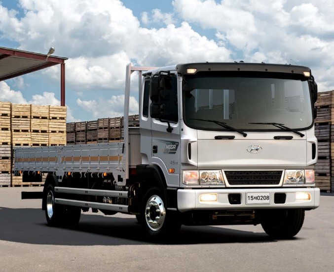 메가트럭 4.5톤 5톤 트럭 가격 및 제원 :: 지원금 신청 대상