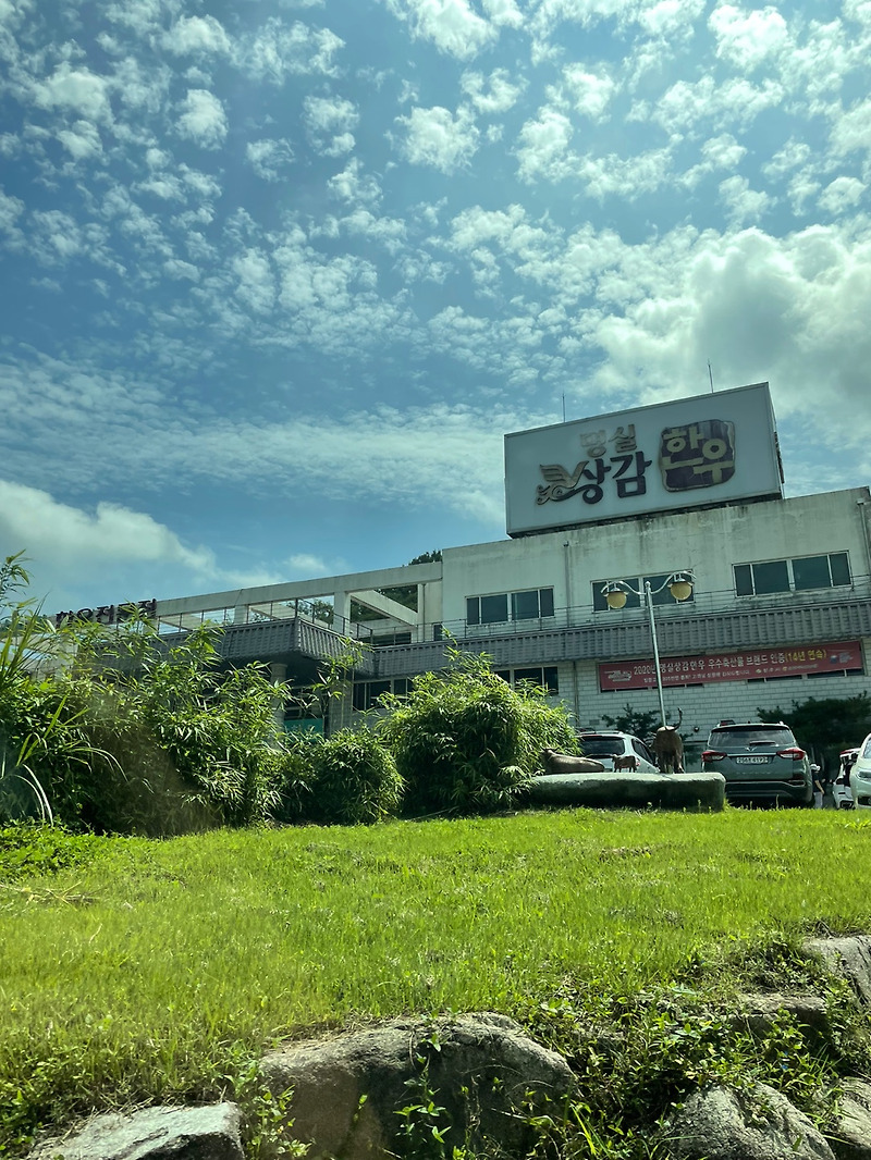 [맛집] 상주시  상주 축협 '명실상감한우' 갈비탕