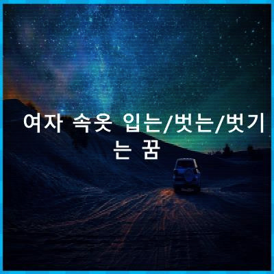 여자 속옷 입는/벗는/벗기는 꿈