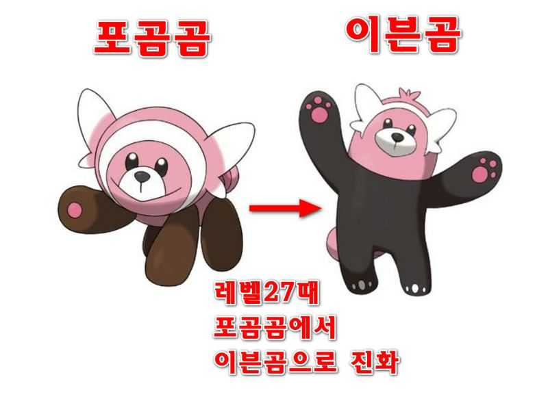 포켓몬스터 소드 실드 포곰곰 이븐곰 위치 얻는법