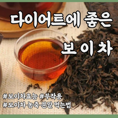 발효차 맛도 좋은 뻥차 보이차 /