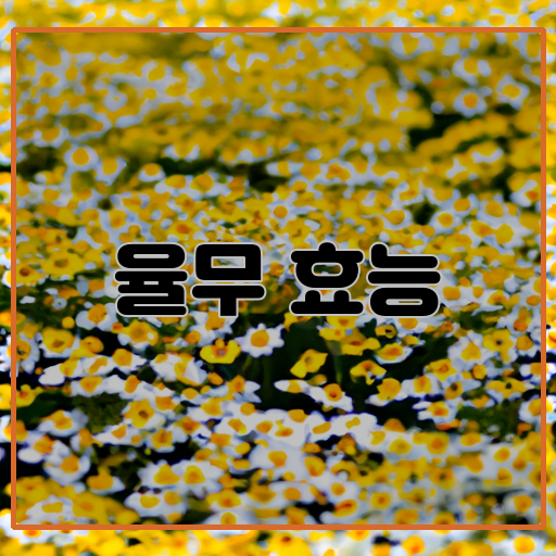 율무의 놀라운 효능 이제 알아보세요!
