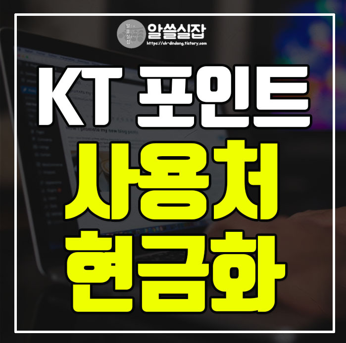 KT 포인트 현금화 사용처