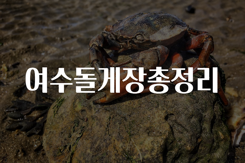 여수돌게장총정리