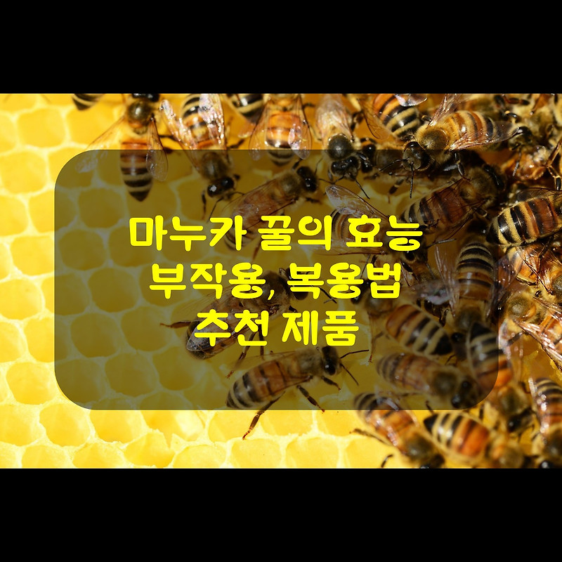 천연 항생제 마누카 꿀의 효능, 복용법, 부작용, 추천 제품::트레브의 방랑