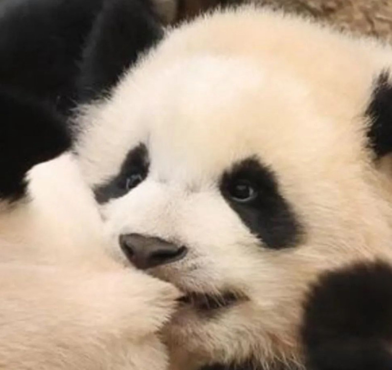 [Swift] Exception (throws, throw, docatch, try)