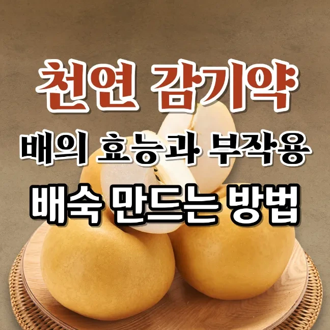 배의 효능과 부작용 천연 감기약 만드는 방법