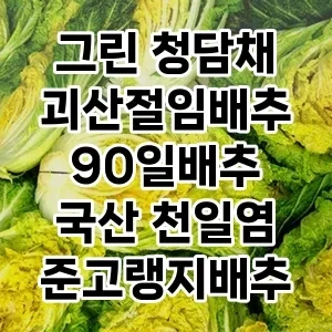 역대급 가성비 그린 청담채 괴산절임배추 90일배추 국산 천일염 준고랭지배추 추천 베스트 1위