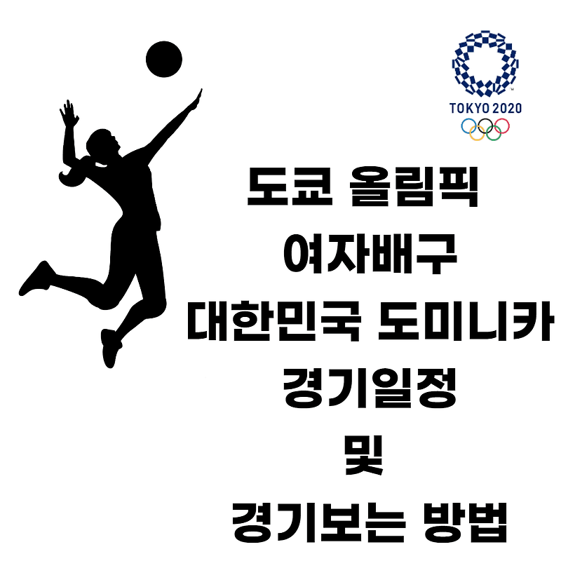 대한민국 도미니카 공화국 여자 배구 경기 일정 및 경기 보는 ...