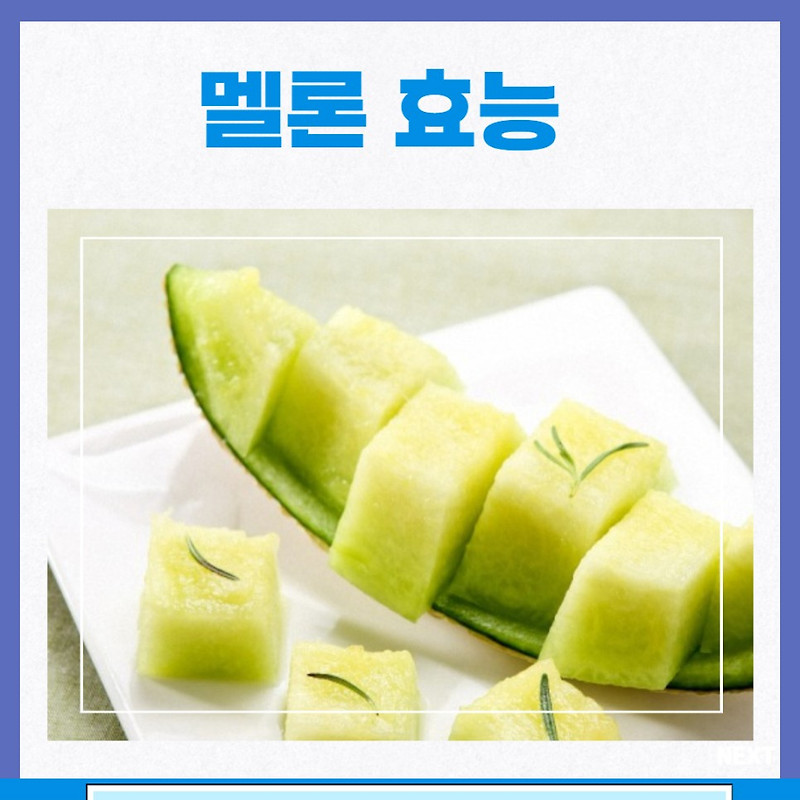 멜론 칼로리와 효능 6