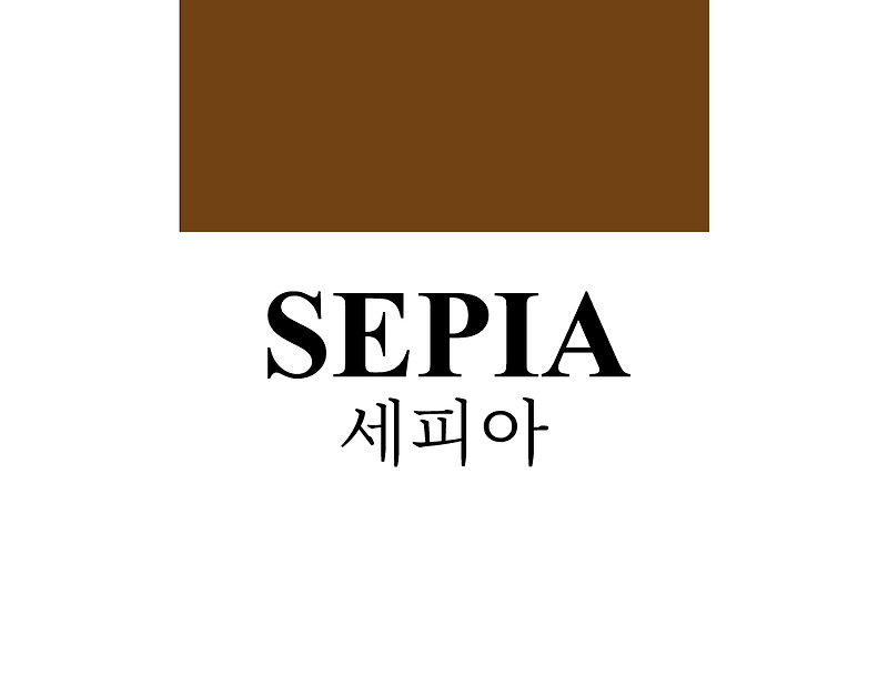 세피아Sepia, 옛스런 느낌의 어두운 브라운