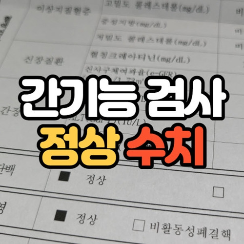 간기능검사 어떻게 해석할까? (+정상수치) 5