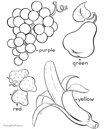 과일바구니 색칠공부 9종 과일 효능 정리 - 플로라 색칠공부 공작소