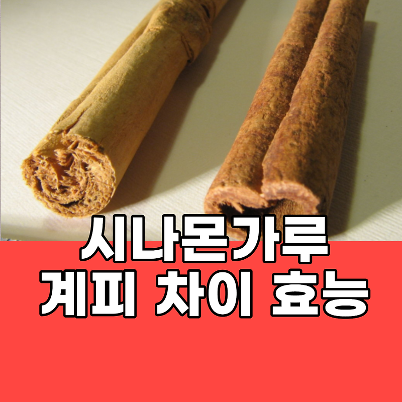 시나몬 가루와 계피 차이 알고 넣어야되요