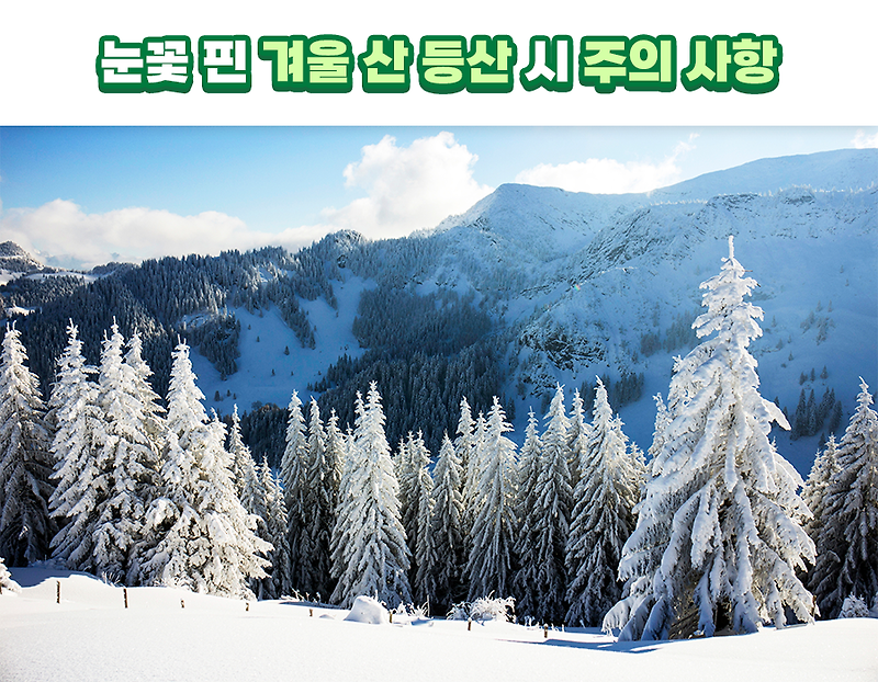 [라이프 Talk] 우리나라 설경 명소부터 겨울 산 주의 사항까지!