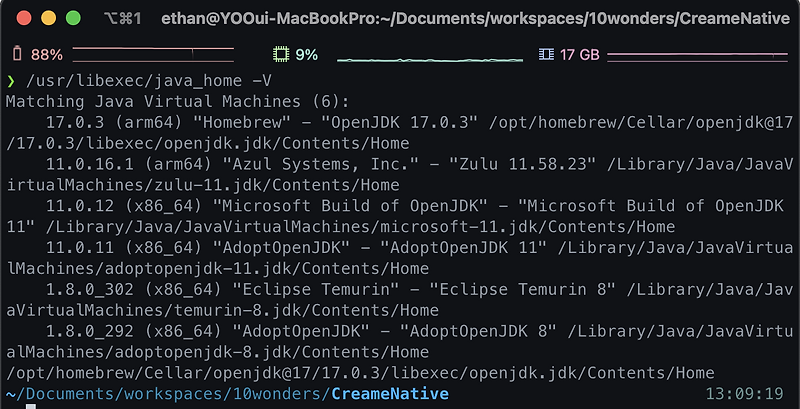 brew install openjdk 8