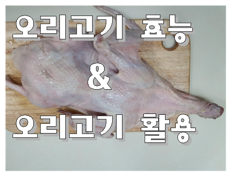 오리고기의 효능인 오리숯구이는 언제 먹어도 맛있습니다.:)