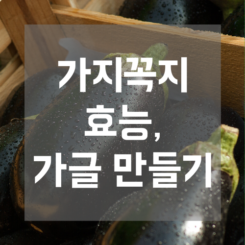 가지꼭지 효능, 잇몸 염증 치료 민간요법 가지 꼭지 가글 방법 (엄지의 제왕)