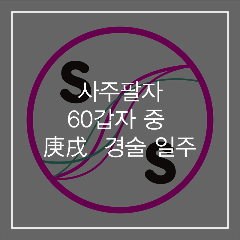 60갑자 중 경 금 庚金 기준 庚戌 경술 일주