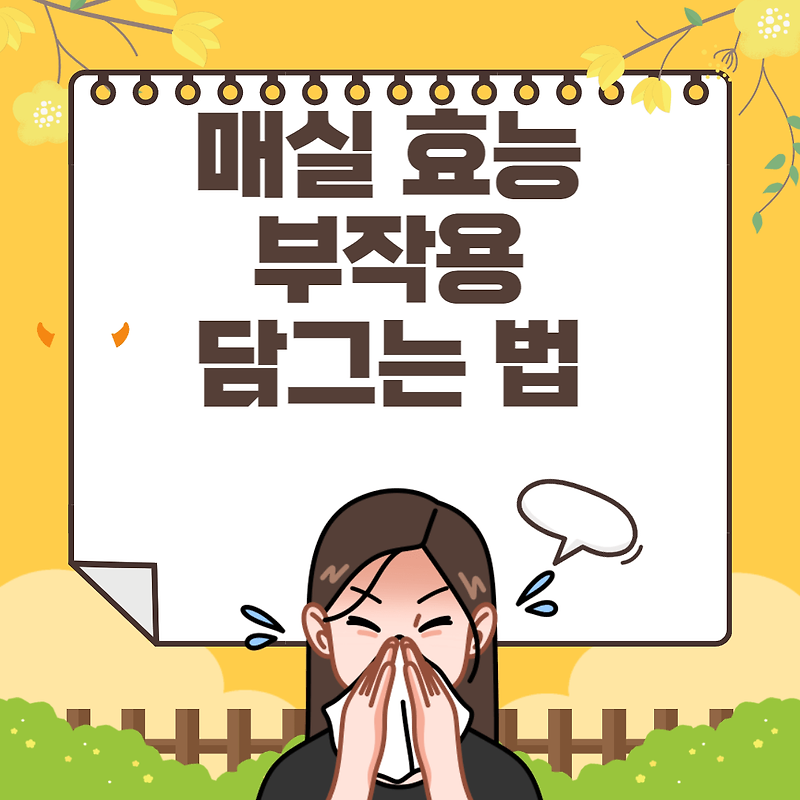 매실 효능 8가지 부작용 담그는 법 총정리
